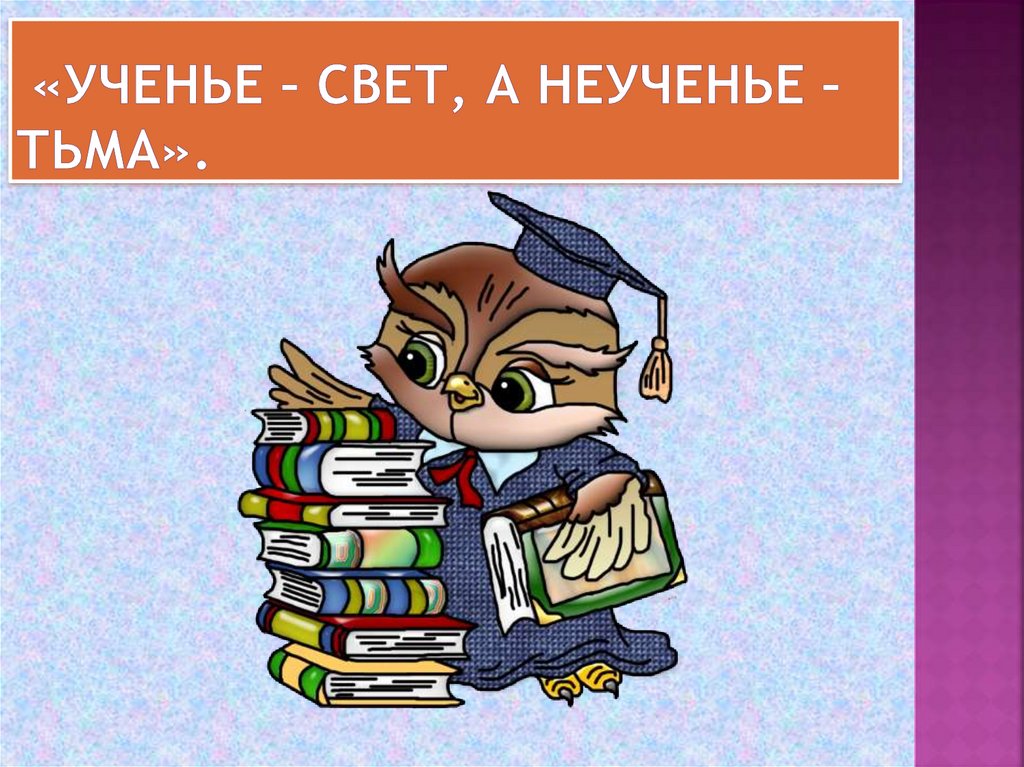 «Ученье – свет, а неученье – тьма».
