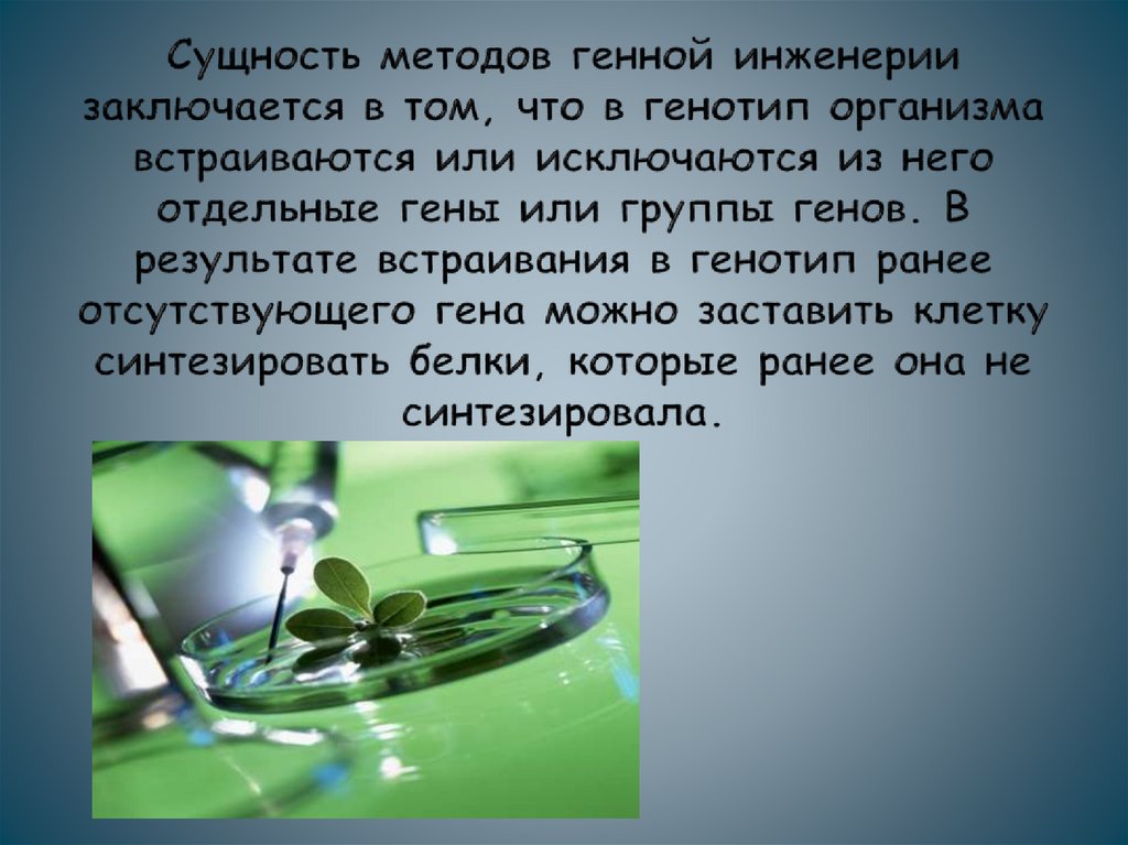 Сущность методов генной инженерии заключается в том, что в генотип организма встраиваются или исключаются из него отдельные
