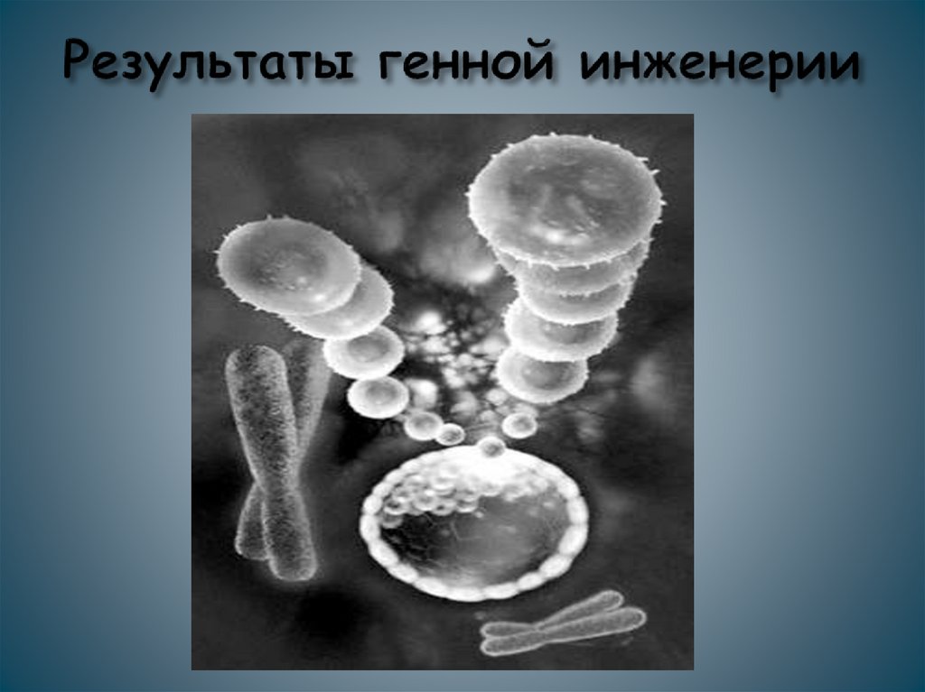 Результаты генной инженерии