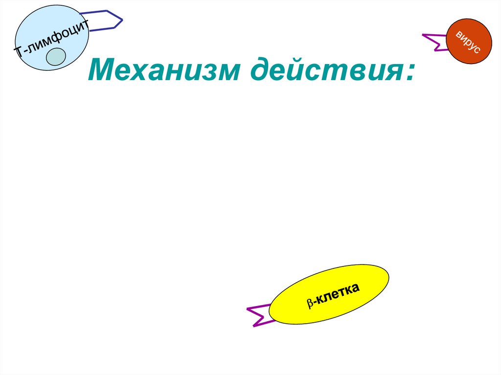 Механизм действия: