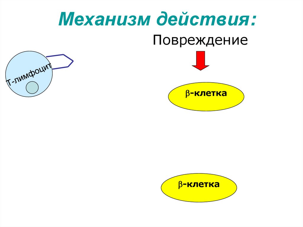 Механизм действия: