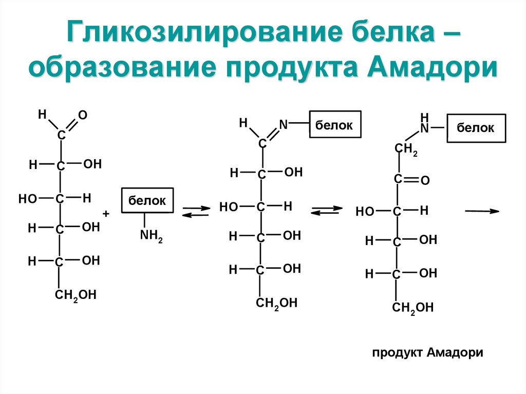 Гликозилирование белка – образование продукта Амадори
