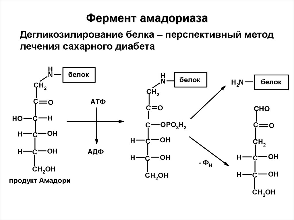 Фермент амадориаза