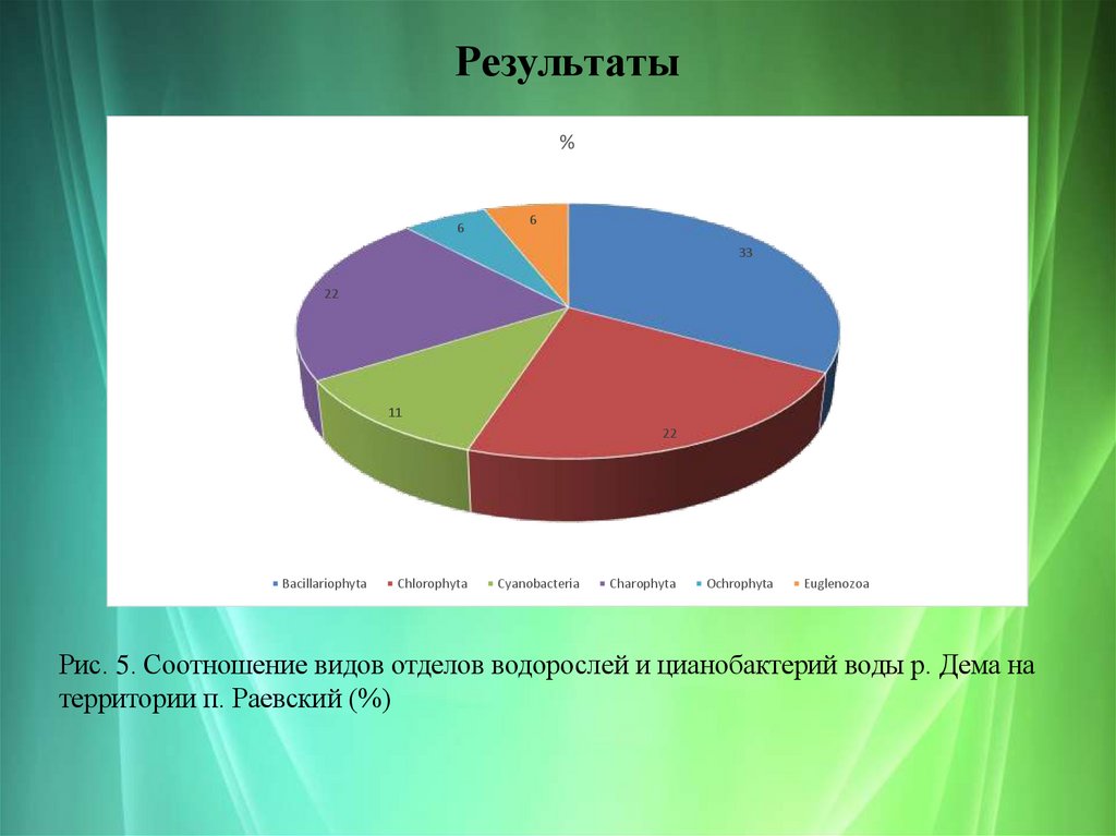 Результаты