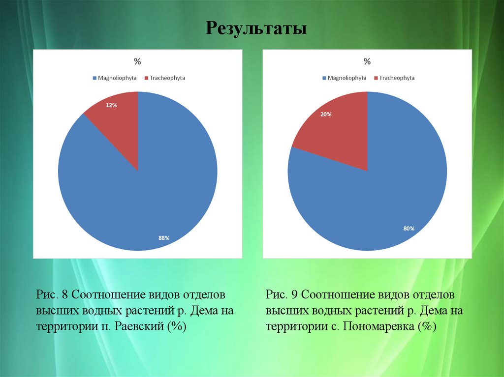Результаты