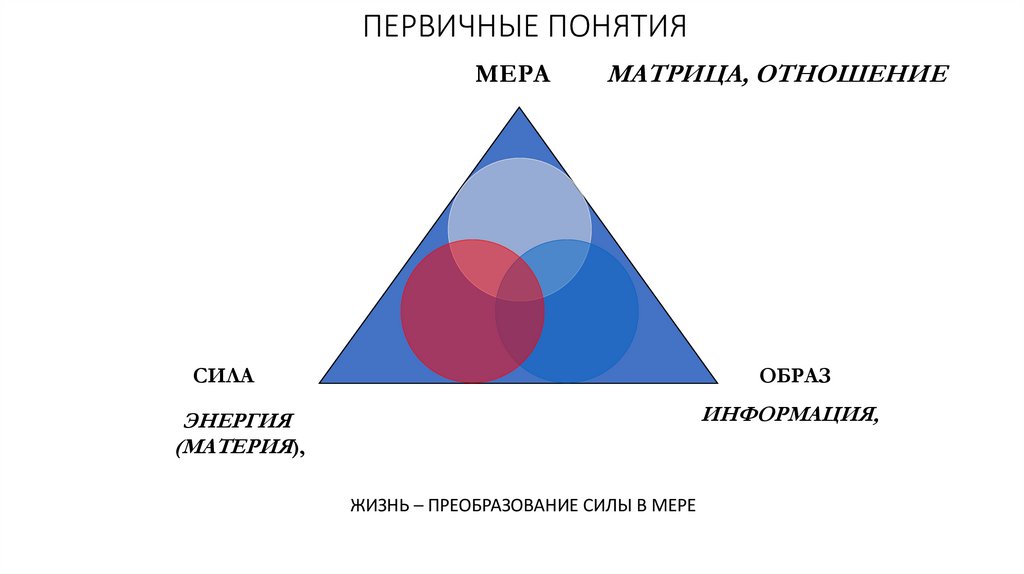 ПЕРВИЧНЫЕ ПОНЯТИЯ