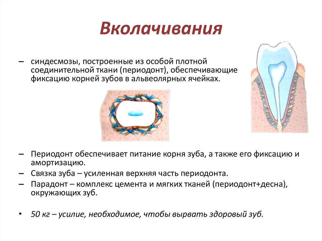 Вколачивания
