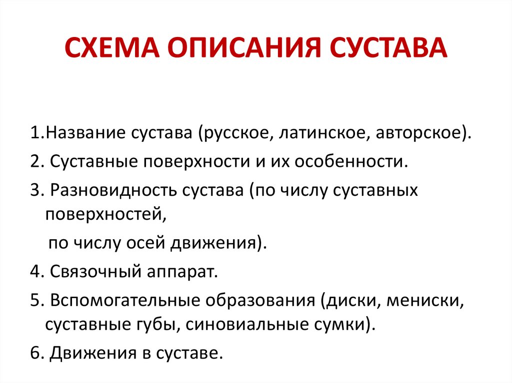 СХЕМА ОПИСАНИЯ СУСТАВА