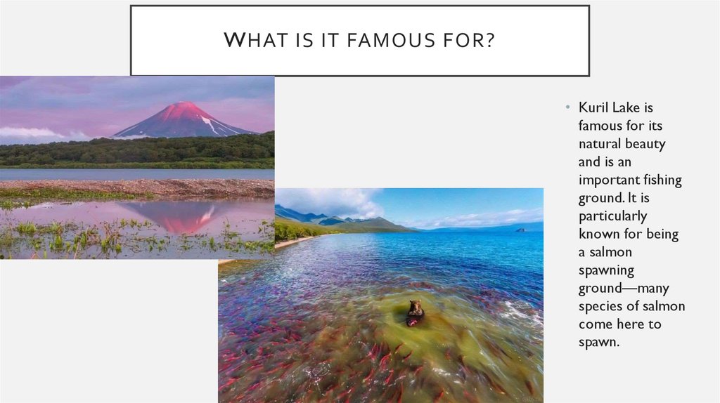 What is it famous for?