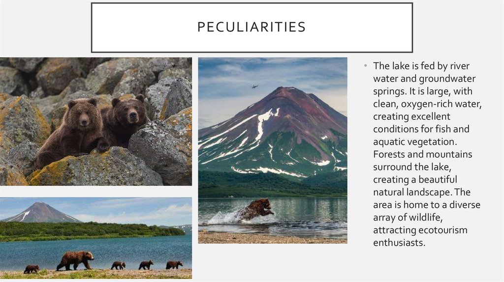 peculiarities