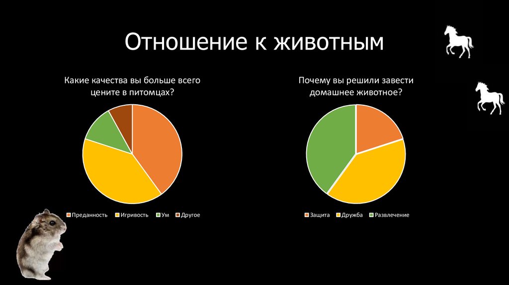 Отношение к животным