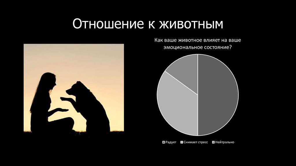 Отношение к животным