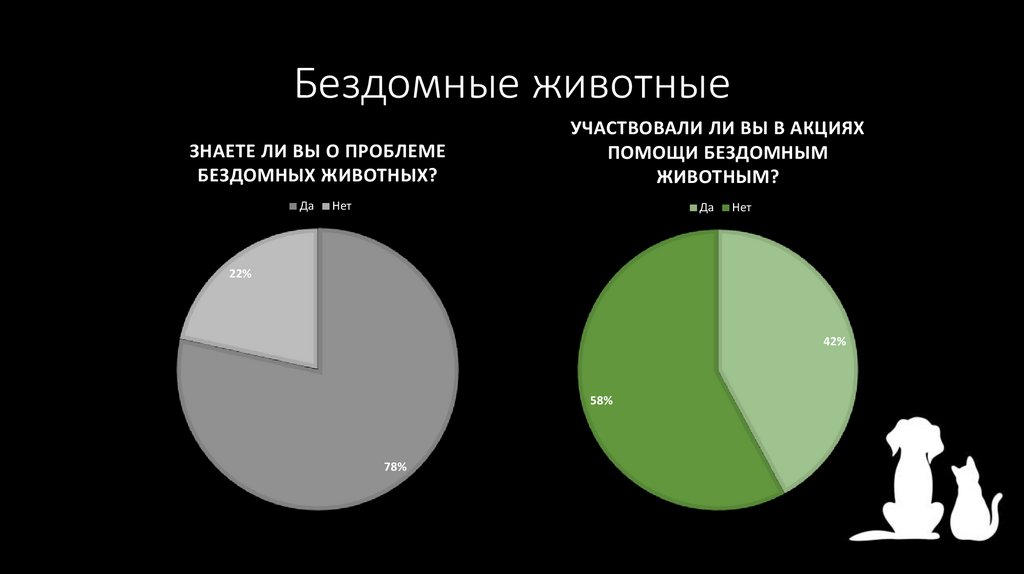 Бездомные животные