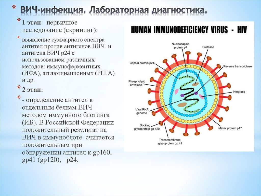 ВИЧ-инфекция. Лабораторная диагностика.