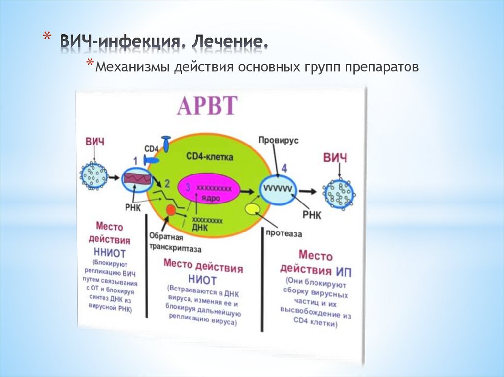 ВИЧ-инфекция. Лечение.