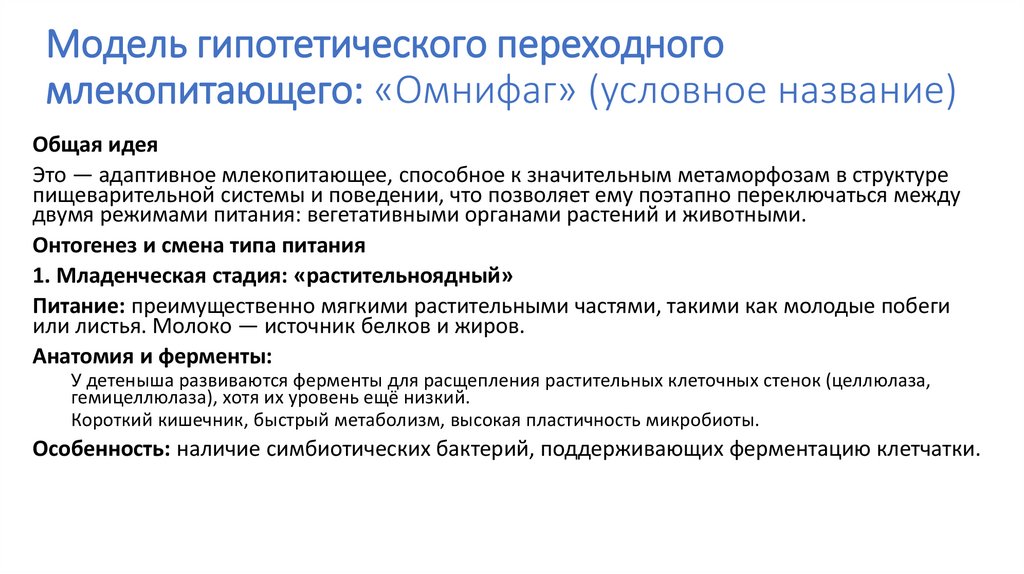 Модель гипотетического переходного млекопитающего: «Омнифаг» (условное название)