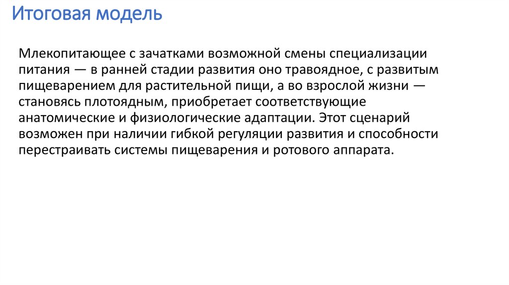 Итоговая модель