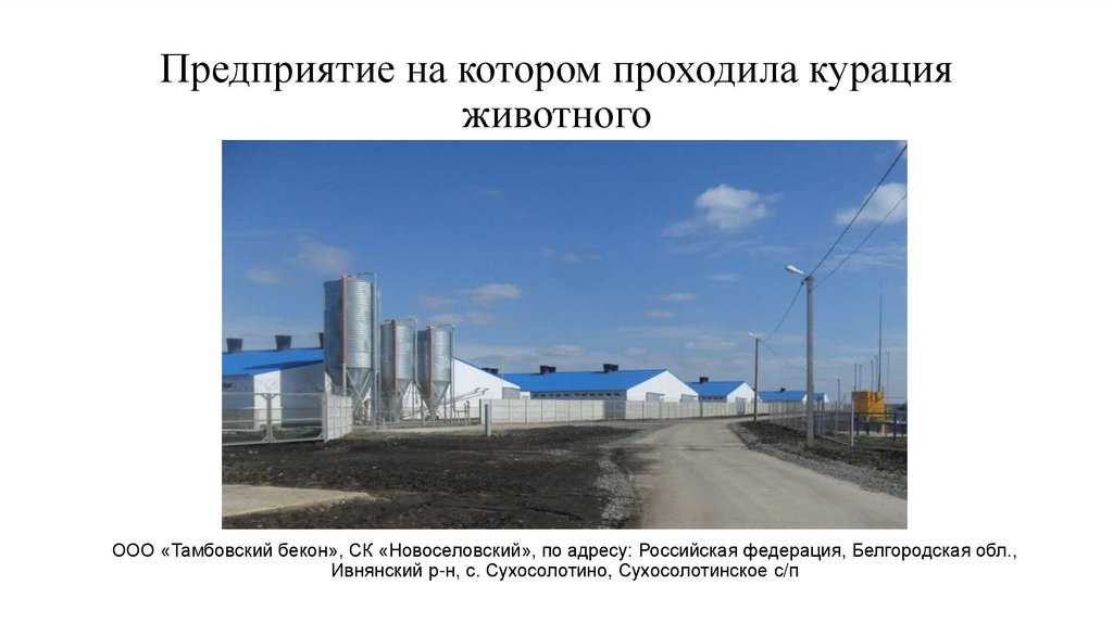 Предприятие на котором проходила курация животного