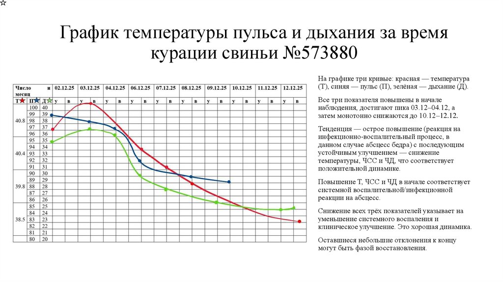 График температуры пульса и дыхания за время курации свиньи №573880