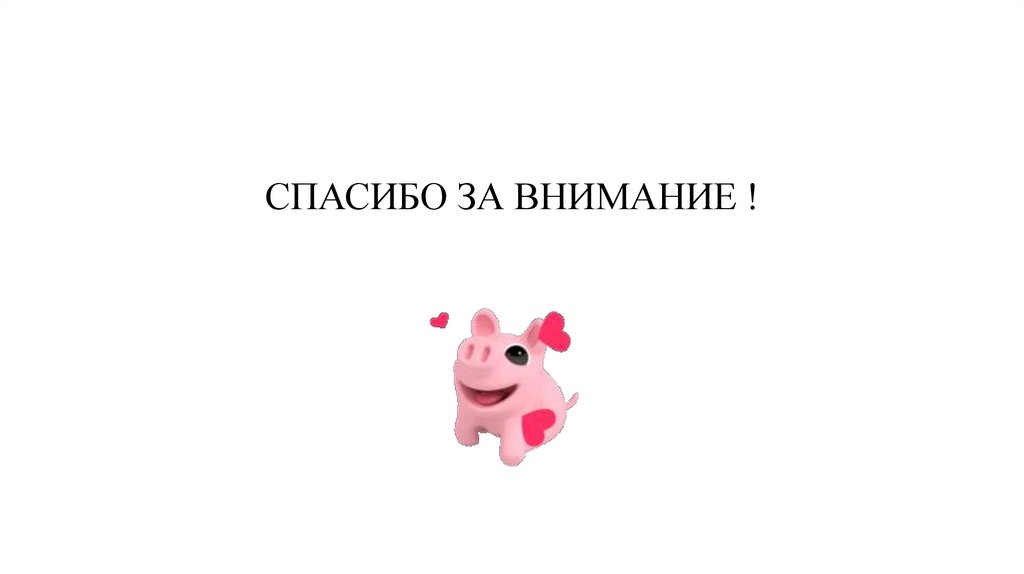 СПАСИБО ЗА ВНИМАНИЕ !