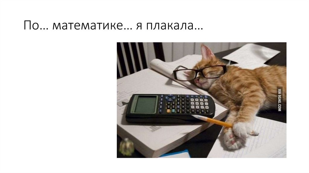 По… математике… я плакала…