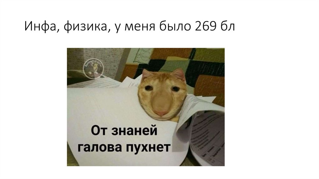 Инфа, физика, у меня было 269 бл