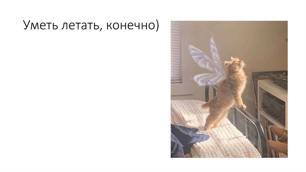 Уметь летать, конечно)