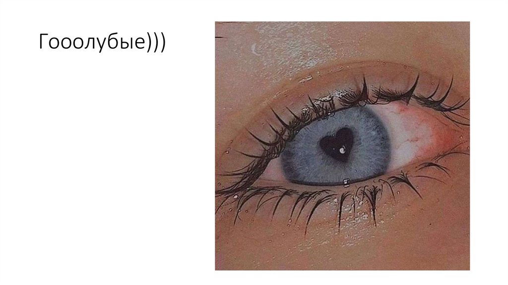 Гооолубые)))