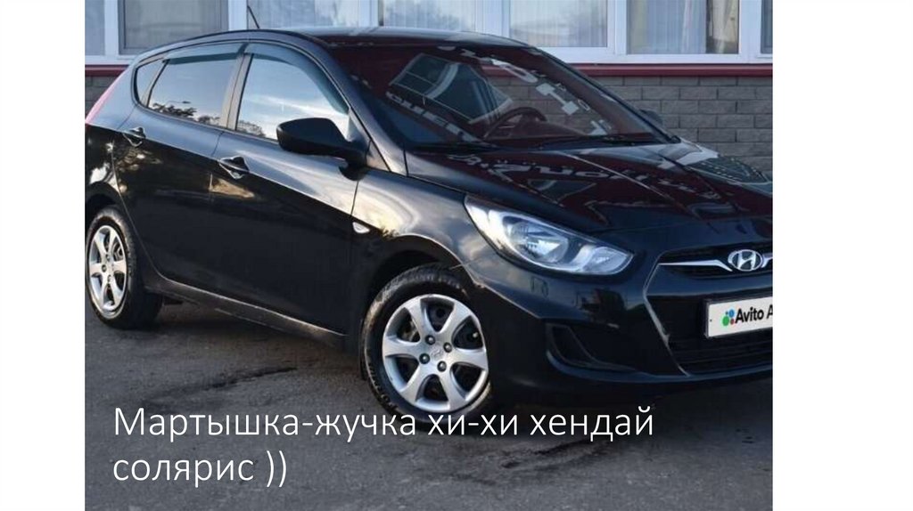 Мартышка-жучка хи-хи хендай солярис ))