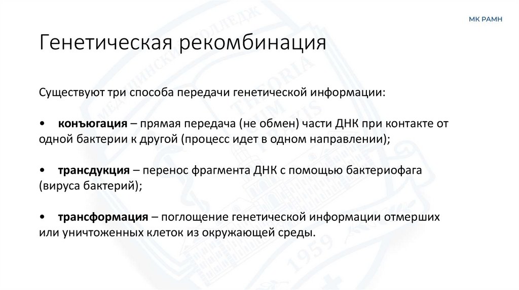 Генетическая рекомбинация