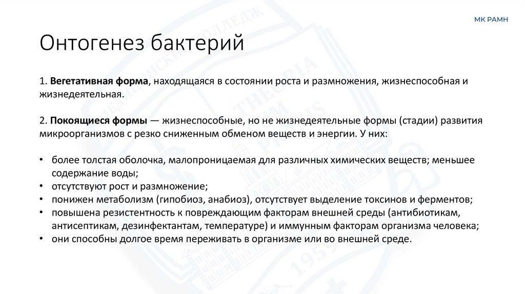 Онтогенез бактерий