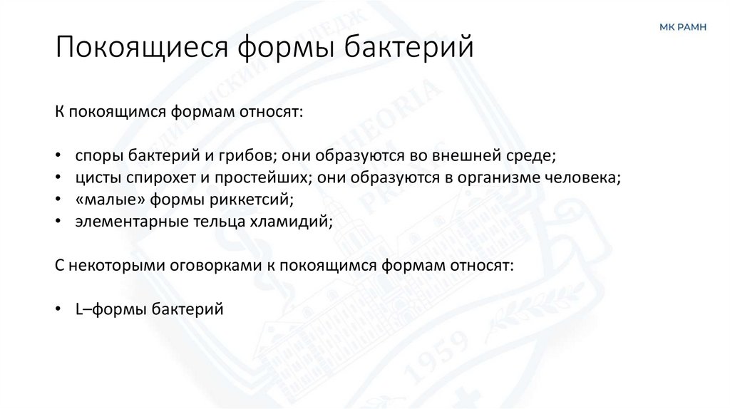 Покоящиеся формы бактерий