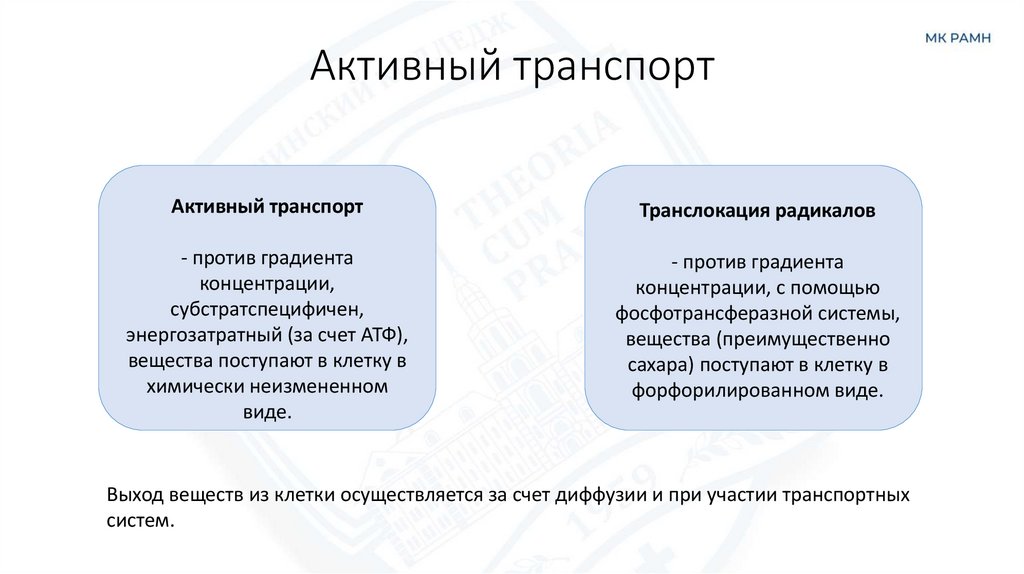 Активный транспорт