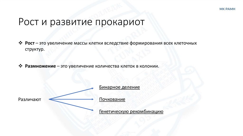 Рост и развитие прокариот
