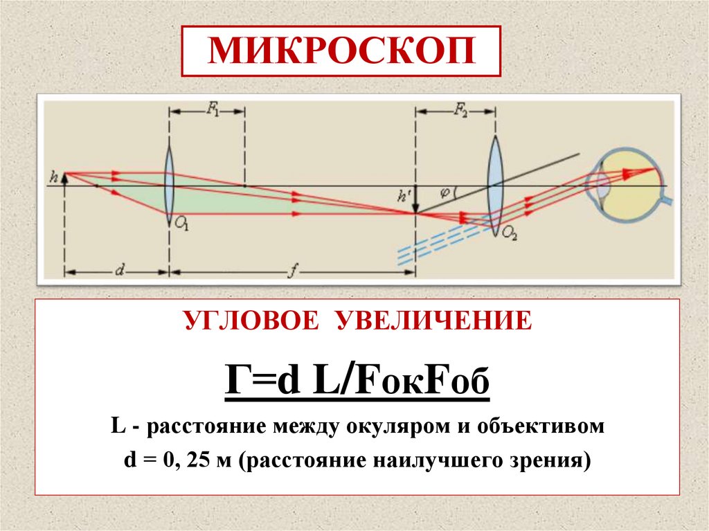 МИКРОСКОП (μικρός — маленький и σκοπέω — смотрю)