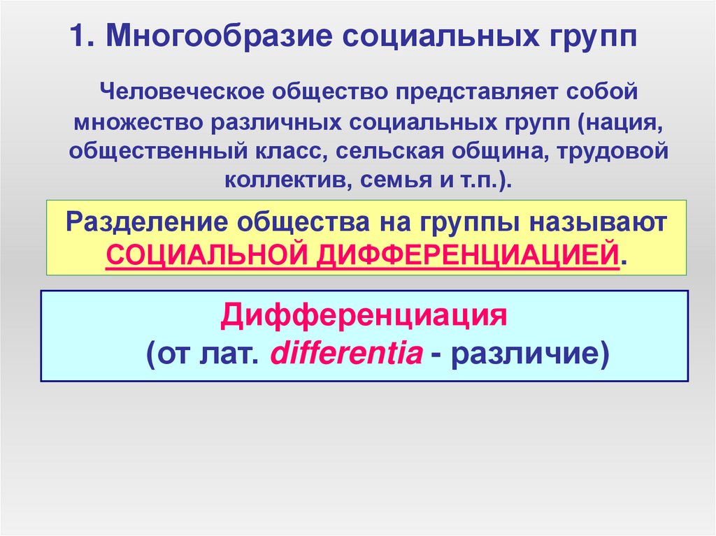 1. Многообразие социальных групп