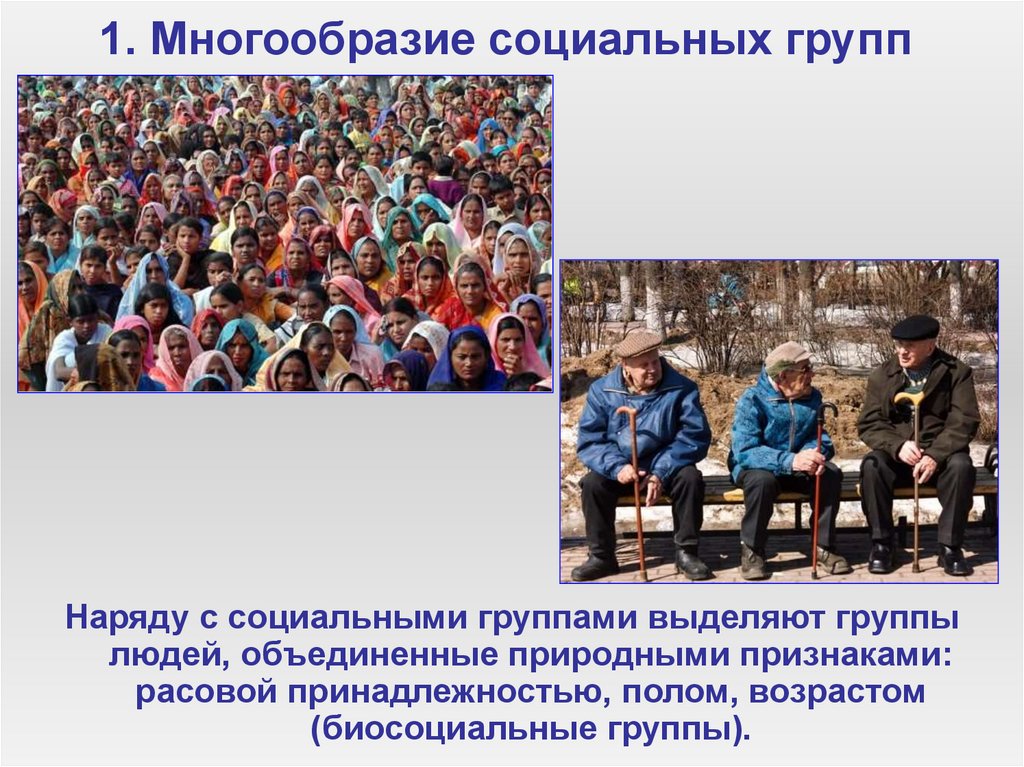 1. Многообразие социальных групп