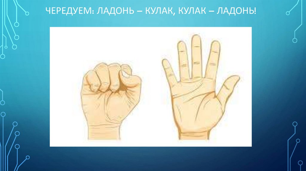 Чередуем: ладонь – кулак, кулак – ладонь!