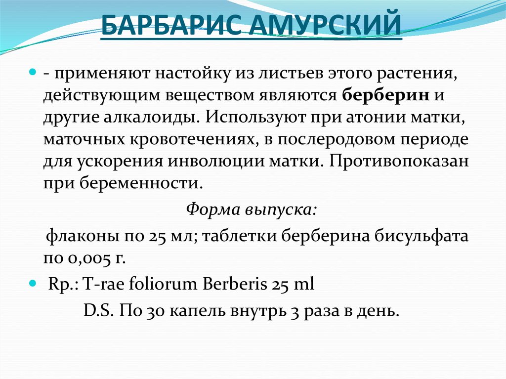 БАРБАРИС АМУРСКИЙ