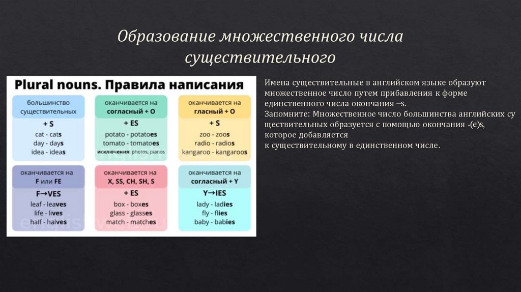 Образование множественного числа существительного