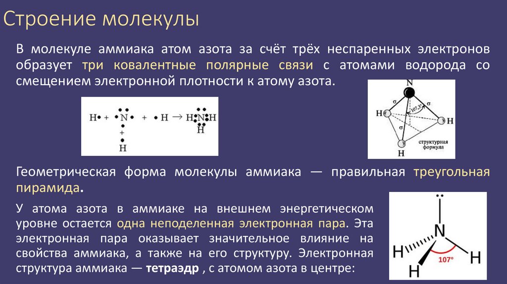 Строение молекулы