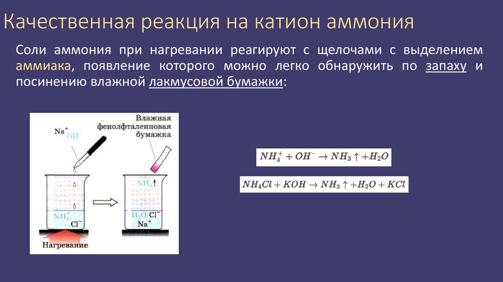 Качественная реакция на катион аммония