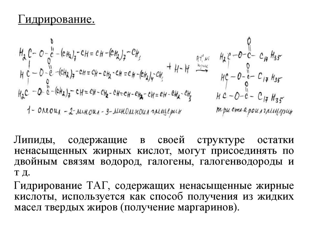 Результат полного гидролиза