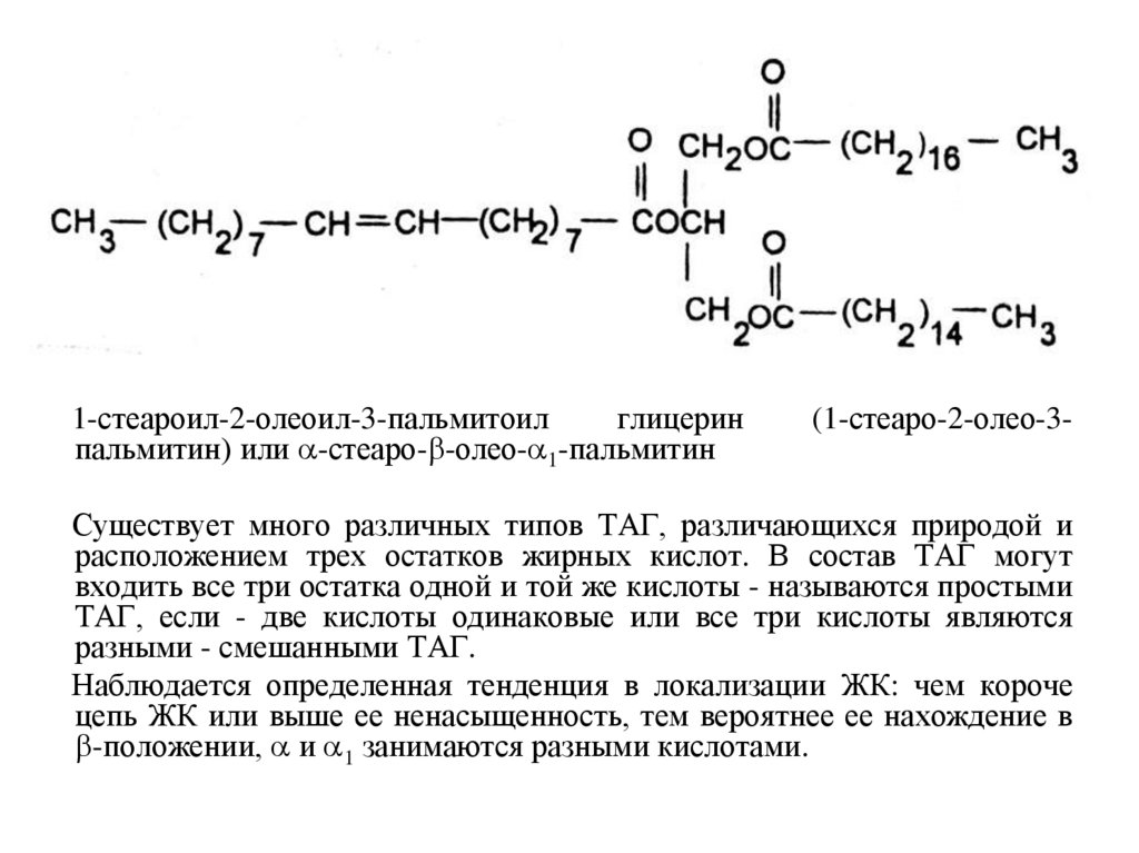 Триацилглицерины (ТАГ) или триацилглицеролы (жиры и масла)