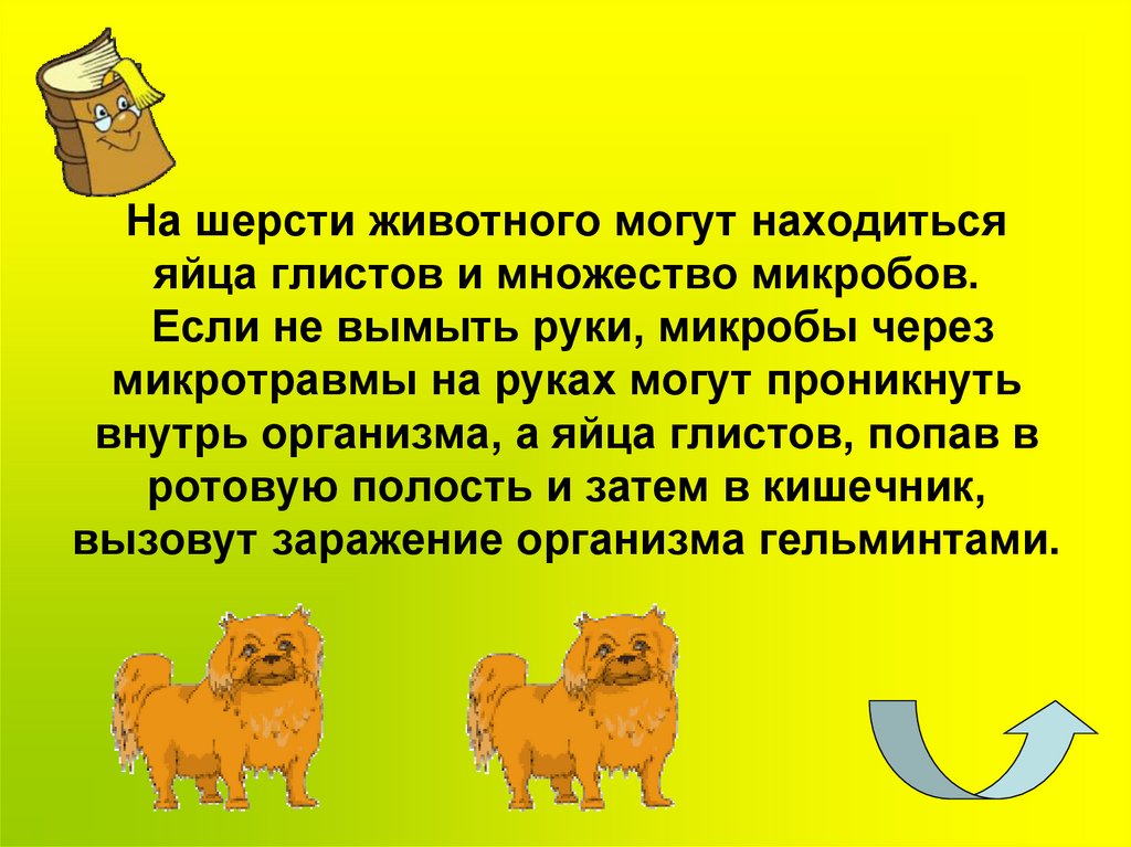 На шерсти животного могут находиться яйца глистов и множество микробов. Если не вымыть руки, микробы через микротравмы на руках