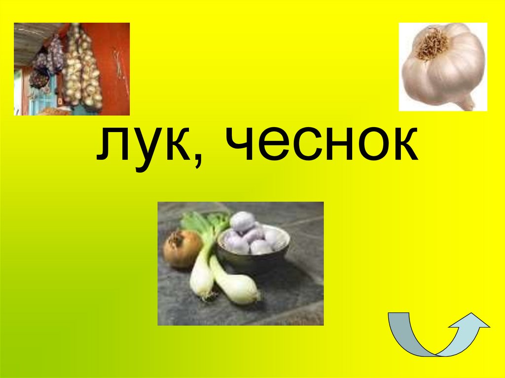 лук, чеснок