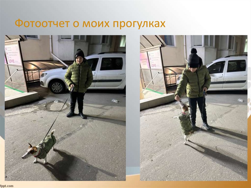 Фотоотчет о моих прогулках