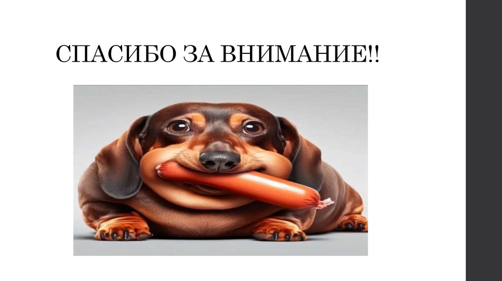 СПАСИБО ЗА ВНИМАНИЕ!!