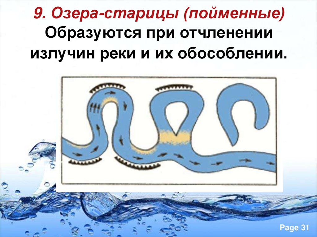 9. Озера-старицы (пойменные) Образуются при отчленении излучин реки и их обособлении.