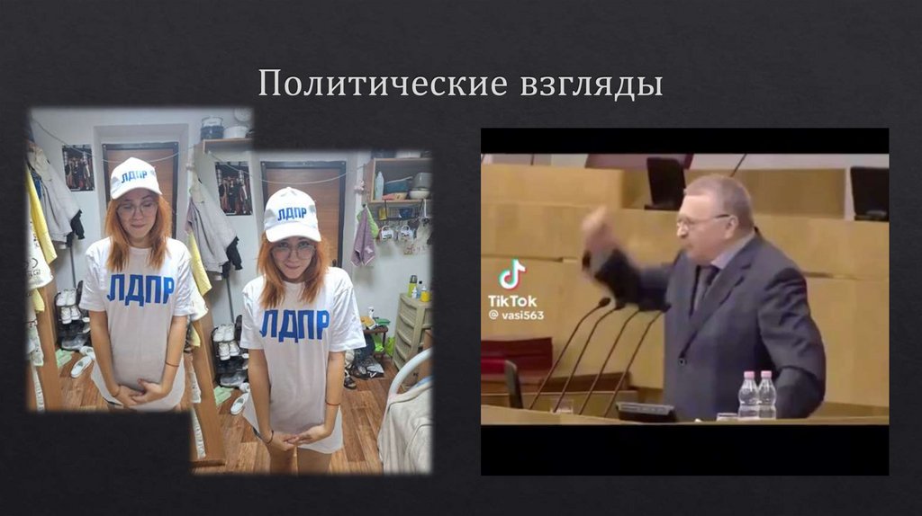 Политические взгляды